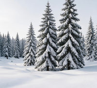 Winter Skin